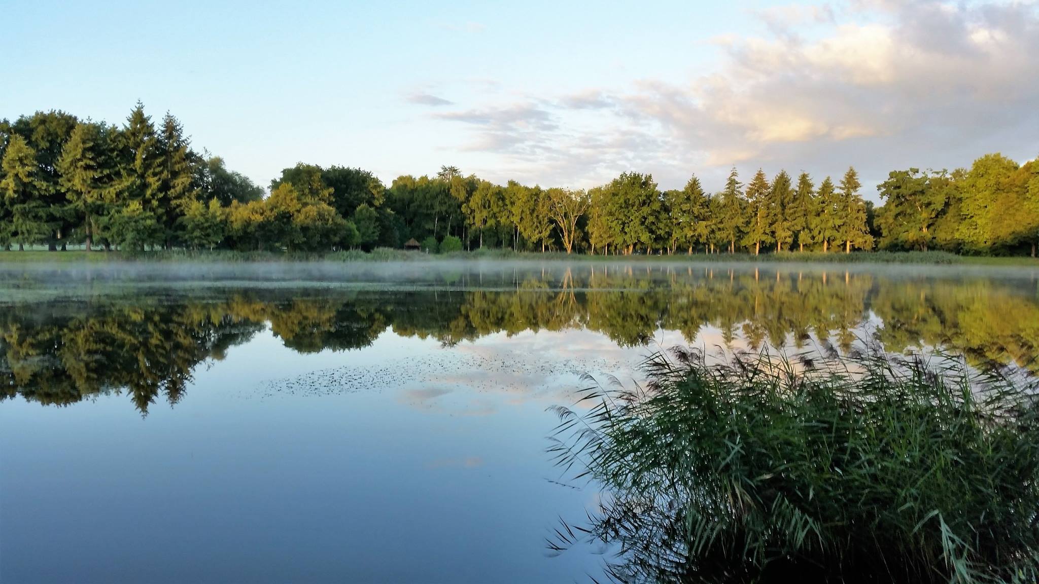 Nationale d’Élevage du Berger Belge 2023