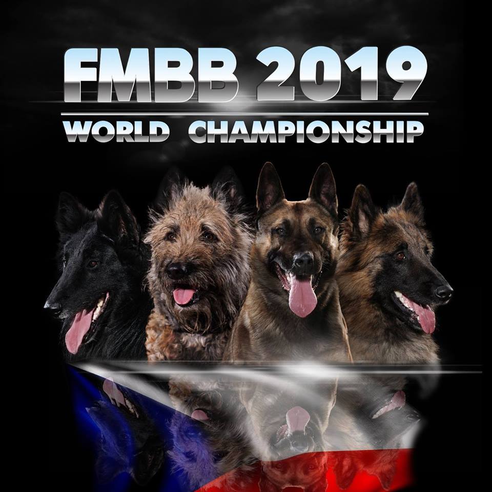 Résultats FMBB 2019