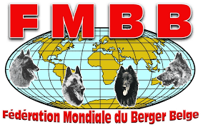 Résultats FMBB 2008