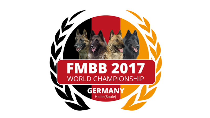 Résultats FMBB 2017